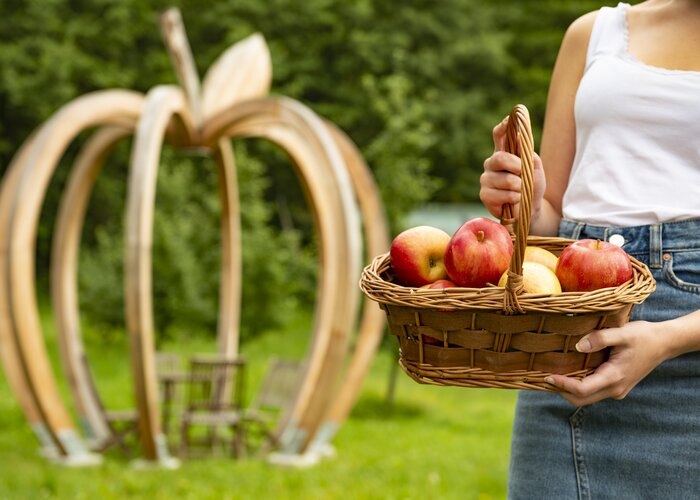 Apple basket from organic farm Schloffer in Eastern Styria | Bernhard Bergmann | © Oststeiermark Tourismus, Bernhard Bergmann