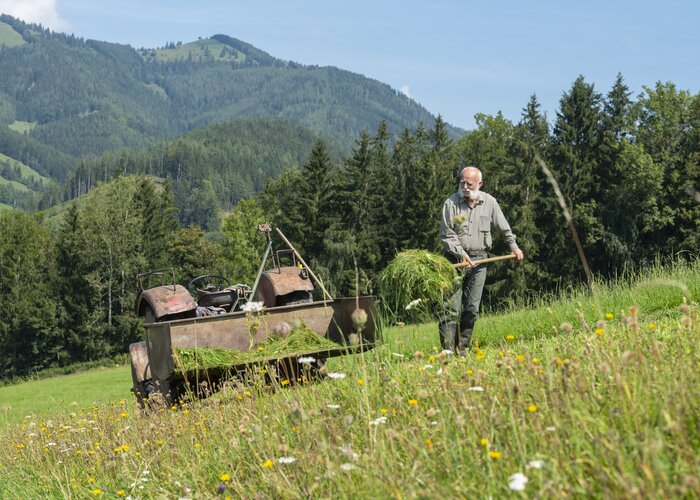Mowing an Alpine Meadow in Eastern Styria | © TV Oststeiermark | Bernhard Bergmann