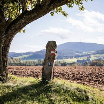 Mystical hole stones in Vorau in Eastern Styria | © TV Oststeiermark | Klaus Ranger