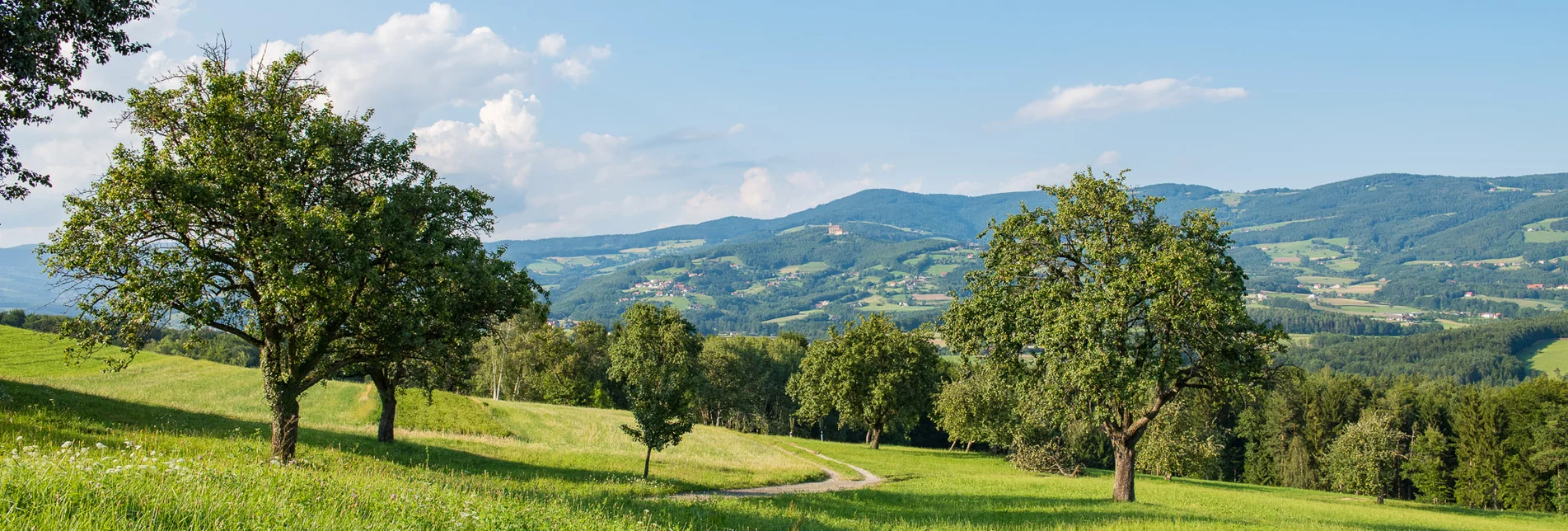 Nature Park Landscape in the Pöllau Valley | © TV Oststeiermark | Helmut Schweighofer