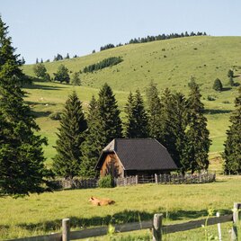 Almlandschaft in der Oststeiermark