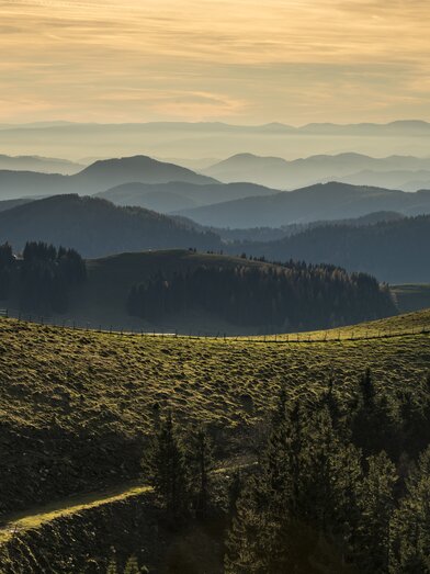 Landschaft des Naturparks Almenland in der Oststeiermark | ©  Oststeiermark Tourismus | Bernhard Bergmann | © Oststeiermark Tourismus, Bernhard Bergmann