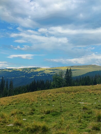 Auf der Alm mit Blick auf den Hochwechsel  | © TV Oststeiermark | Nicole Friesenbichler
