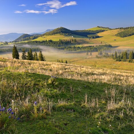 Herbstlandschaft auf der Teichalm im Naturpark Almenland | © Oststeiermark Tourismus | Ewald Neffe