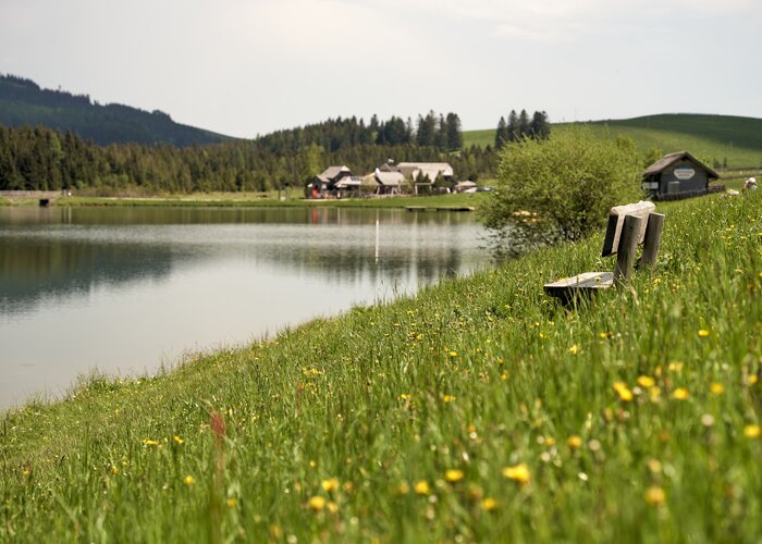 Frühlingslandschaft auf der Teichalm in der Oststeiermark | © Oststeiermark Tourismus | Markus Lang-Bichl