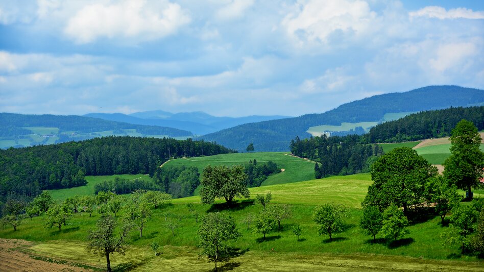 ©  Oststeiermark Tourismus | Christian Strassegger