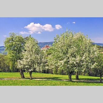 Blick auf die Wallfahrtskirche Pöllauberg in der Oststeiermark | ©  Oststeiermark Tourismus | Ewald Neffe