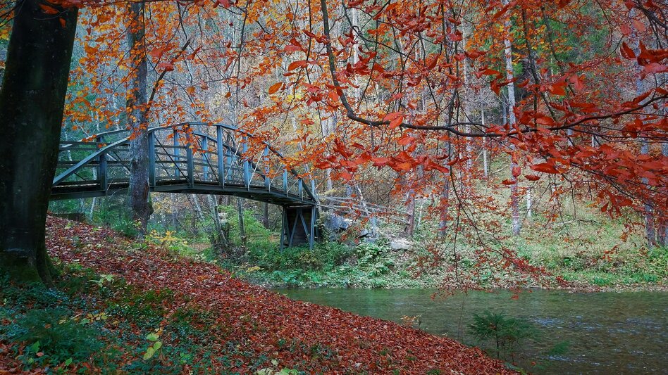 Raabklamm mit Brücke in herbstlicher Landschaft | © TV Oststeiermark | Christine Pollhammer