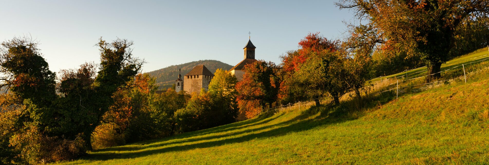 Burg Neuberg und Obstbäume im Herbst | © TV Oststeiermark | Bernhard Bergmann