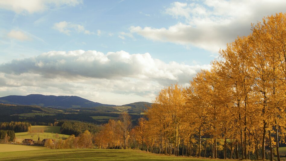 Herbst im Joglland | ©  Oststeiermark Tourismus | Maria Fank