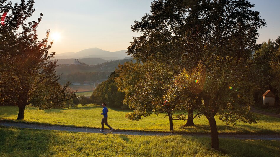 Laufen inmitten herbstlicher Landschaft | © TV Oststeiermark | Bernhard Bergmann