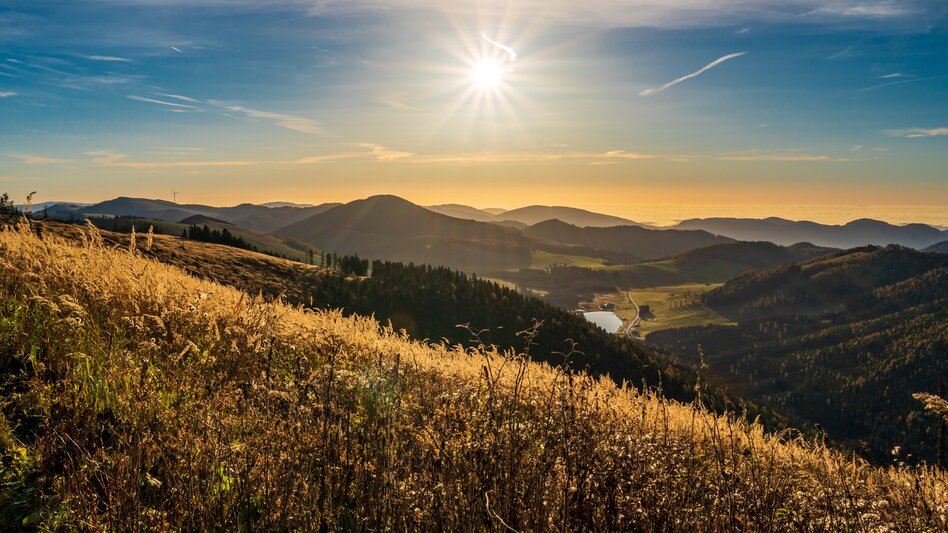 Herbst im Naturpark Almenland in der Oststeiermark | © Oststeiermark Tourismus | Johannes Zöhrer