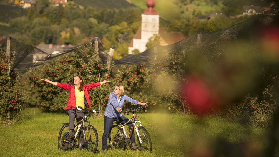 Radfahren entlang der Apfelstraße in der Oststeiermark | © Oststeiermark Tourismus | Bernhard Bergmann
