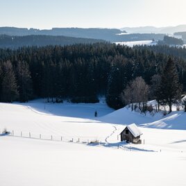 Winterlandschaft im Joglland 