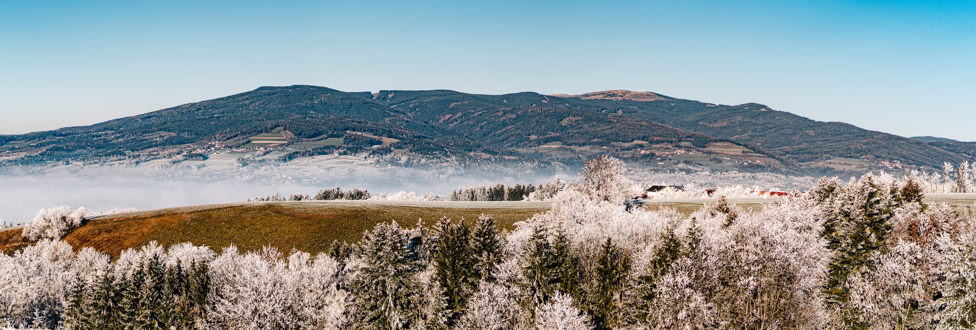 Winter landscape in the herb region Wechselland | © TV Oststeiermark | Florian Luckerbauer