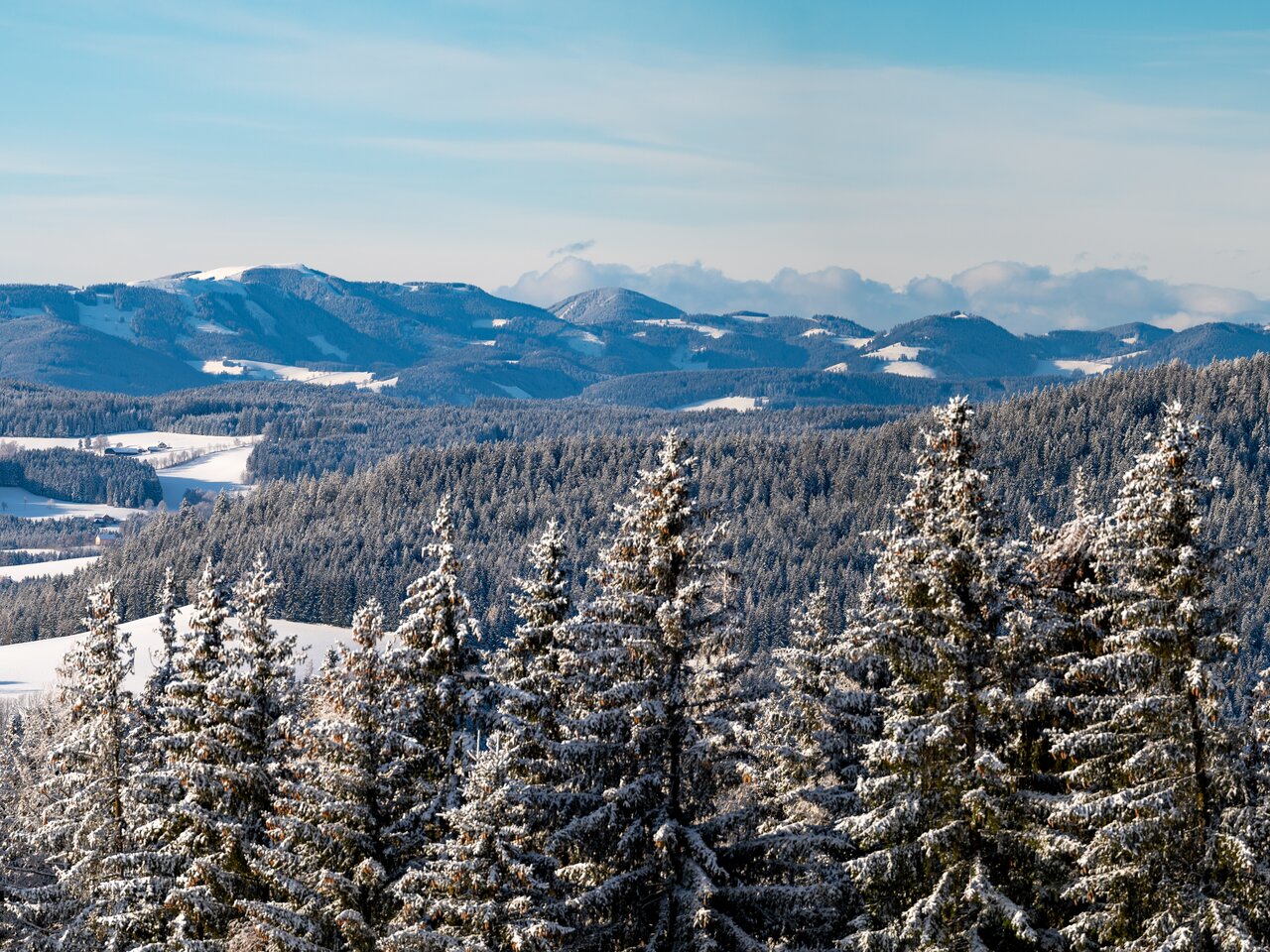 Winterlandschaft im Joglland mit Blick auf die Teichalm-Sommeralm im Naturpark Almenland