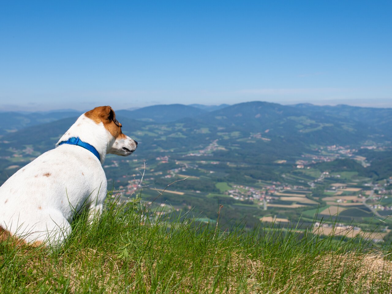 © TV Oststeiermark | Rene Strasser