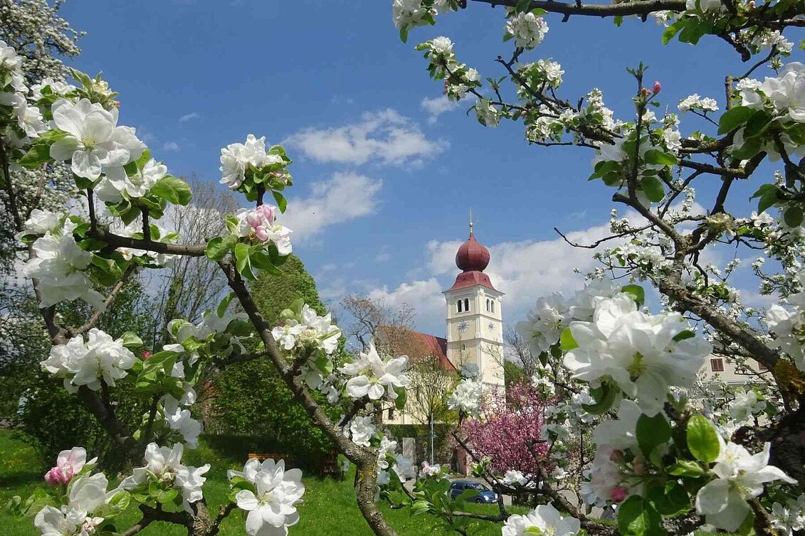 PackageFrühling an der Apfelstrasse - Tagesprogramme