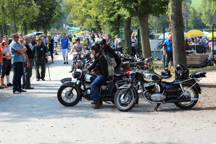Classic Car Meet at Stubenberg Lake | Werner Thaler