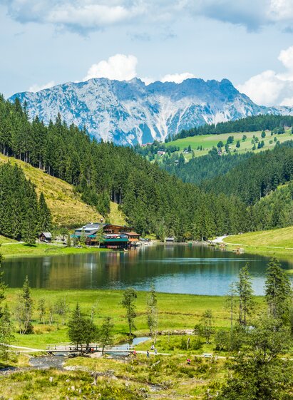 Unterwegs in der Urlaubsregion Schladming Dachstein... | © René Eduard Perhab | René Eduard Perhab