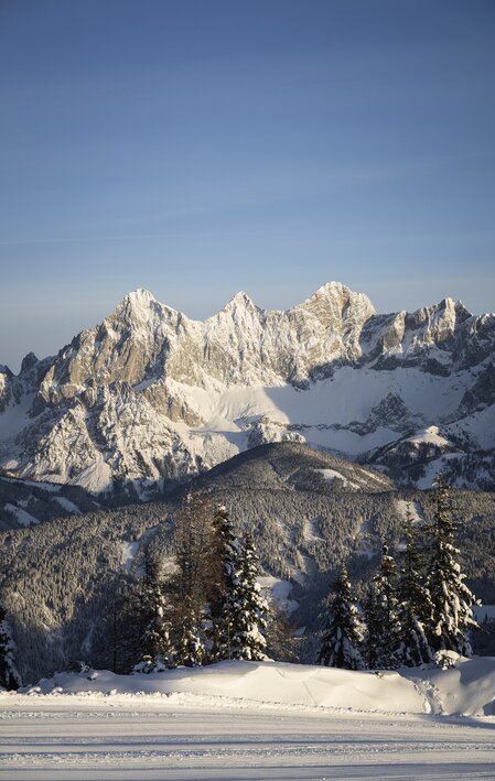 © TVB Schladming-Dachstein | Mirja Geh