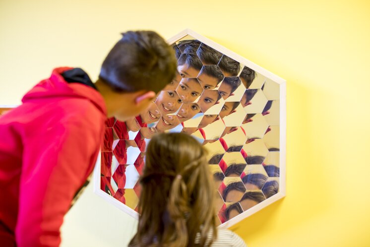 NaturLese-Museum Spiegel Biene | © TV Murau | Tom Lamm