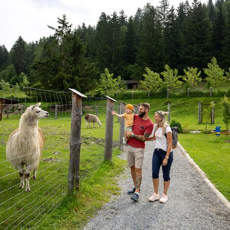 Tierpark Scheifling | © TV Murau | Tom Lamm