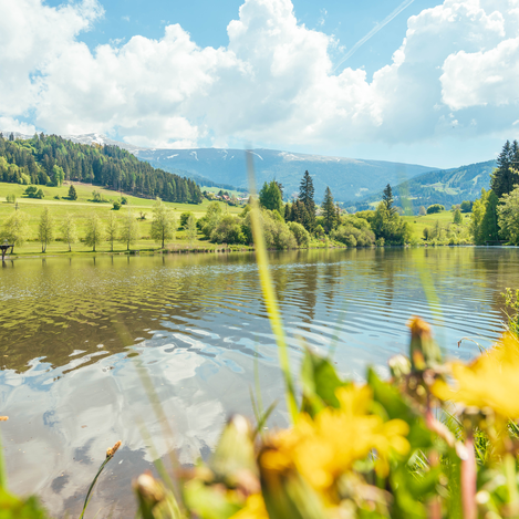 Badesee Mühlen | © TV Murau | René Hochegger