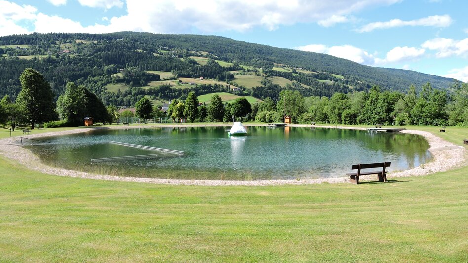 kleiner See mit grünem Rasen 