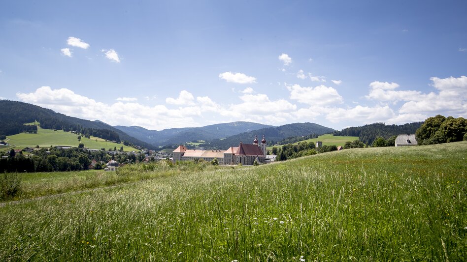 Blick auf das Benediktinerstift St. Lambrecht über eine grüne Wiese