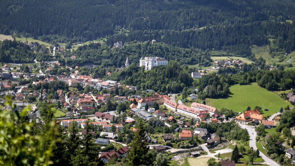 Blick auf Murau