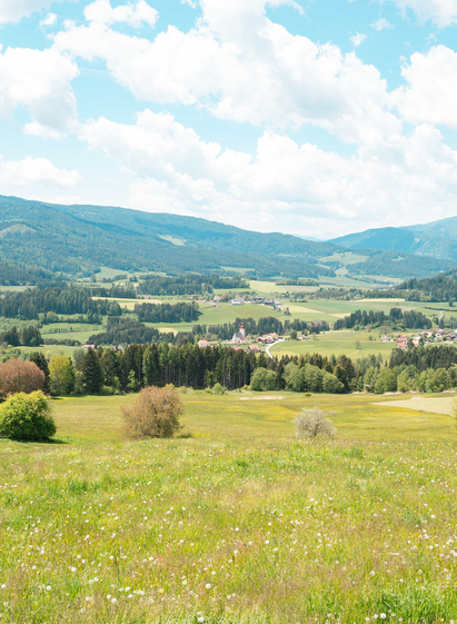 Blick auf Mühlen | © TV Murau | René Hochegger