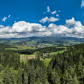 Landschaftsbild mit Wälder, Wolken 