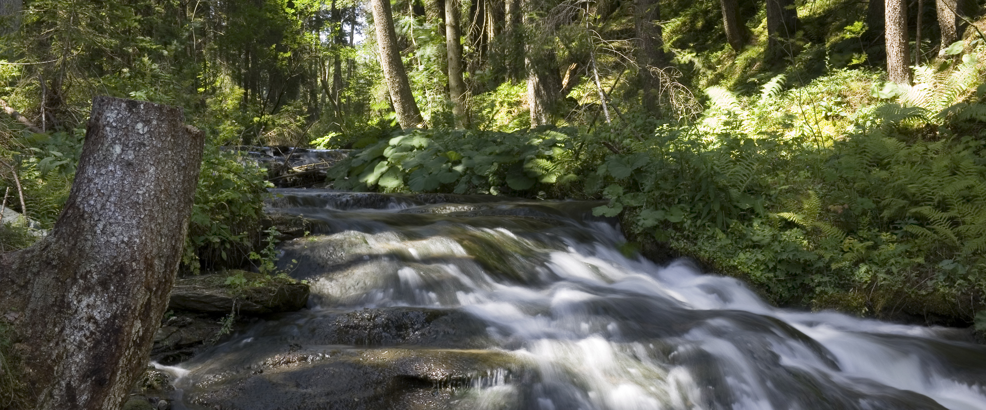 Graggerschlucht | © Naturpark Zirbitzkogel-Grebenzen | josef moritz