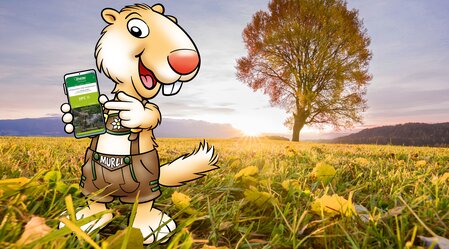 Murli - der Urlaubsbegleiter | © TV Murau