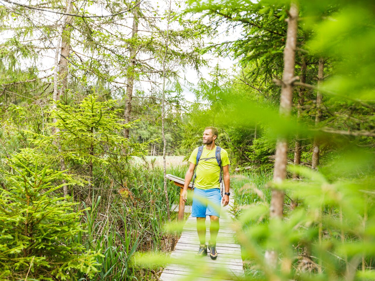 Gemütliche Wanderung am Steg durch das Dürnberger Moor