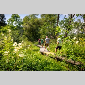 Hörfeldmoor Wanderung | © TV Murau | Tom Lamm