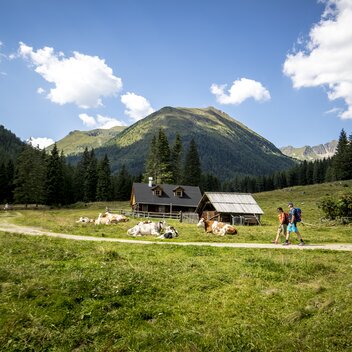 ^Wandern in der Krakau | © Holzwelt Murau | Tom Lamm