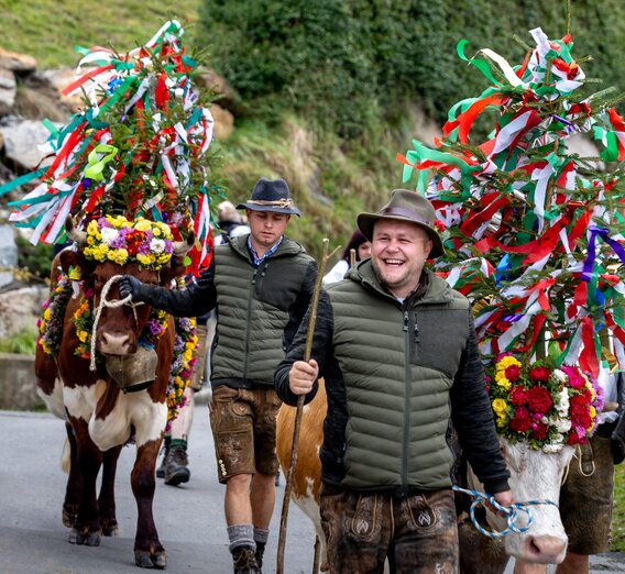 Almabtrieb | © TV Murau | Tom Lamm | © Tourismusverband Murau, Tom Lamm