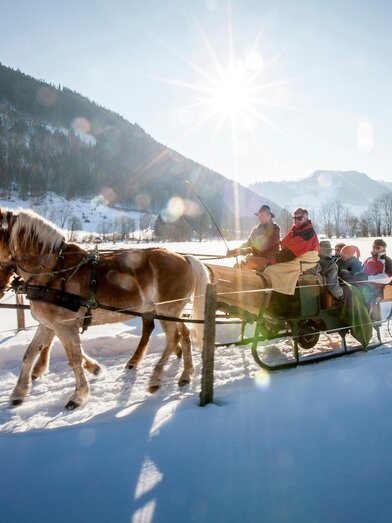 Pferdeschlittenfahrt | © TV Murau | Tom Lamm