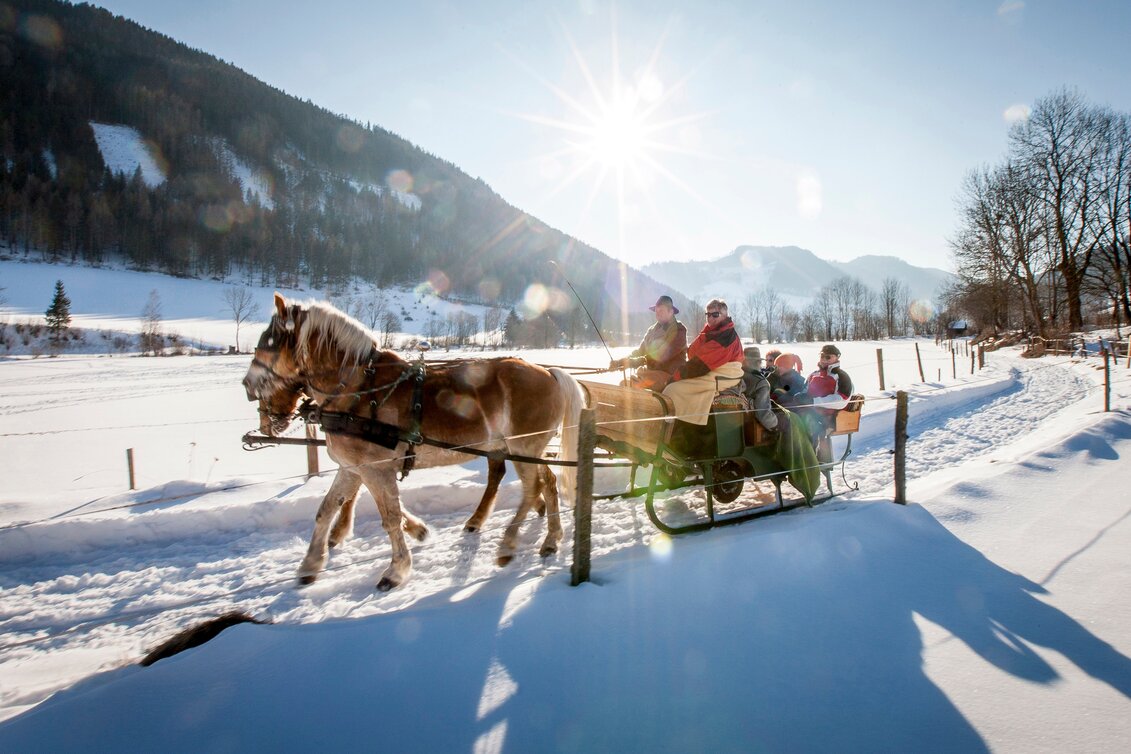 Pferdeschlittenfahrt | © TV Murau | Tom Lamm