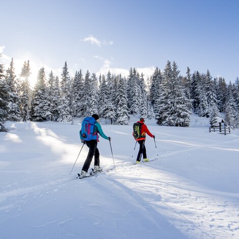 Skitourengehen Frauenalpe | © Region Murau | Tom Lamm