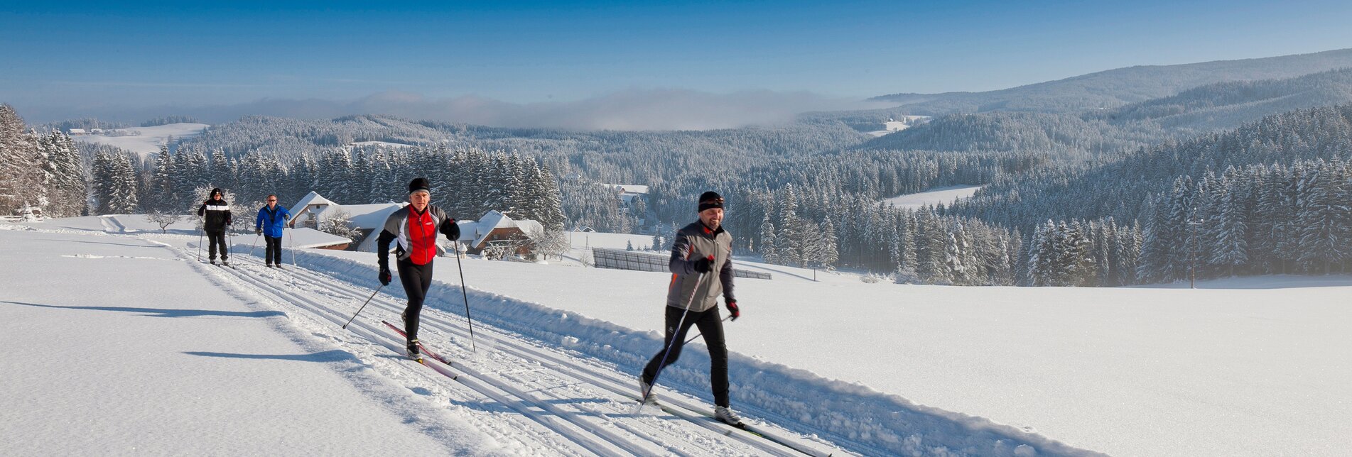 Cross-country skiing | © TV Region Graz | Tom Lamm