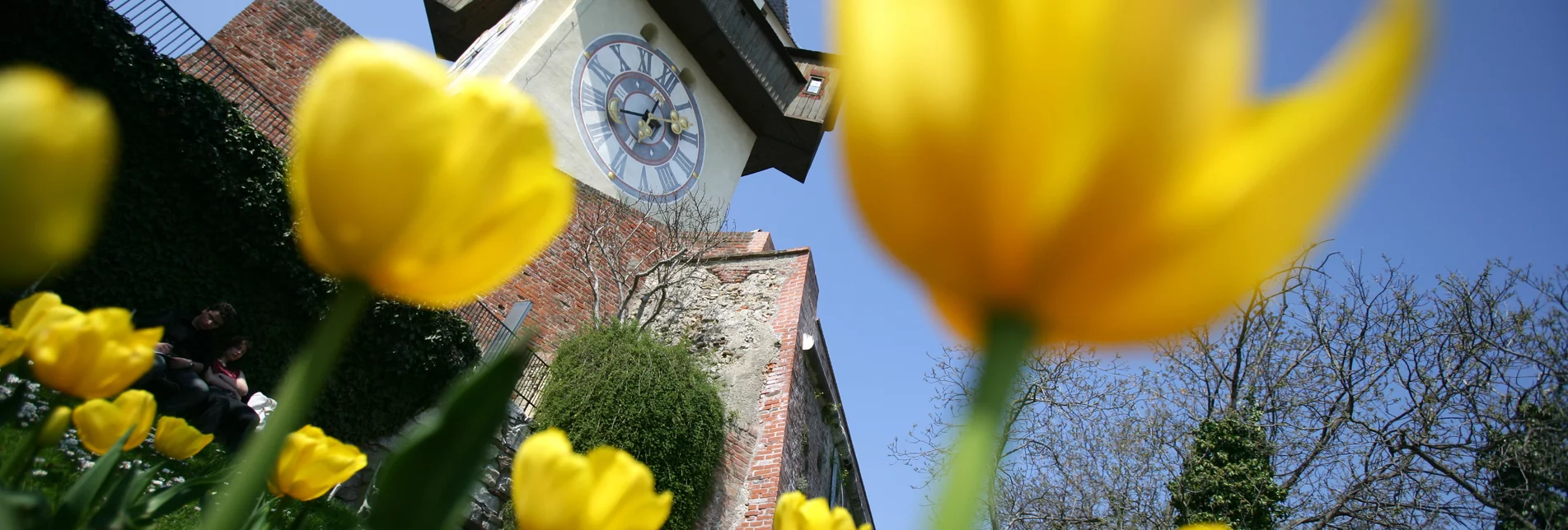 Uhrturm mit Tulpenbeet | © Graz Tourismus | Harry Schiffer