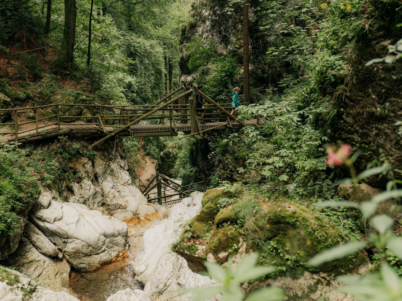 Holzstege führen durch die Kesselfallklamm bei Graz zwischen Felsen, Bachlauf und dichtem Wald