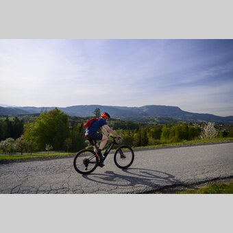 Radfahrer auf Hügellandtour mit Schöcklblick | © Region Graz | pixelmaker.at