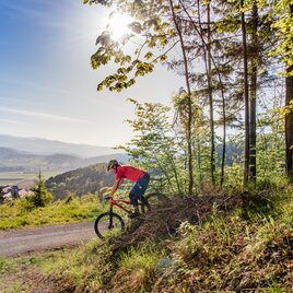 Ein Mountainbiker fährt bergab vor der Kulisse von Stift Rein und dem Schöckl