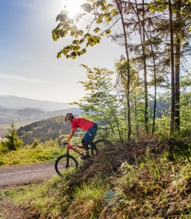 Mountain biking at Rein Abbey  | © TV Region Graz | Mias Photoart