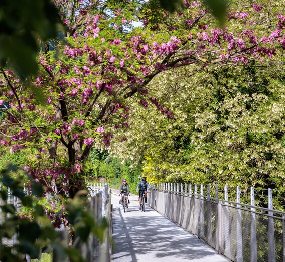 Radfahren im Frühling in Frohnleiten | © Erwin Haiden | Erwin Haiden