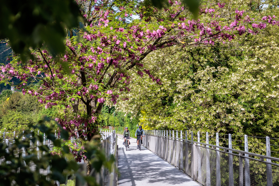 Spring cycling in Frohnleiten | © Erwin Haiden | Erwin Haiden